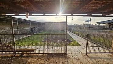 heyet ev dizaynlari: 16 sot, Tikinti, Mülkiyyətçi, Bələdiyyə — 4