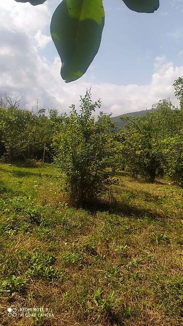 ev satlir: Gəncə, 4 kv. m, 1 otaqlı, Hovuzsuz, Su — 3