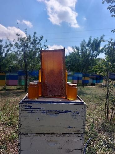 bal şəkli: İstenilen labaratoriyada yoxlada bilersiniz Temizleye 100 % QARANTİ — 7