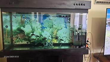 Akvariumlar: Akvaryum komplekti – şkaflı Akvaryum 100 lt qalin şüşədən şkafla — 5