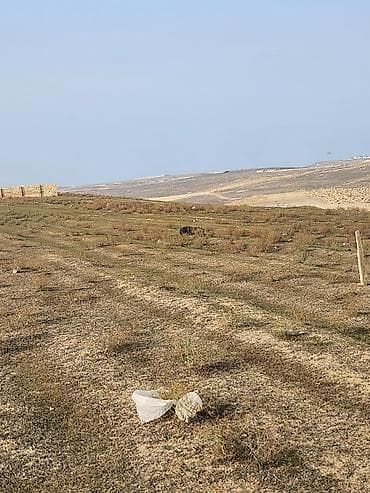 ev tecili satilir: 54 sot, Biznes üçün, Mülkiyyətçi, Kupça (Çıxarış) — 1