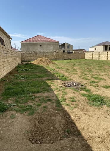 5 sot, Tikinti, Bələdiyyə