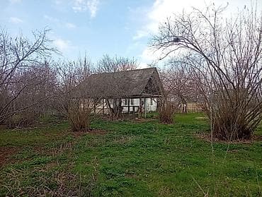 zabratda torpaq satisi: Oğuz, 100 kv. m, 3 otaqlı, Hovuzsuz, İnternet — 3