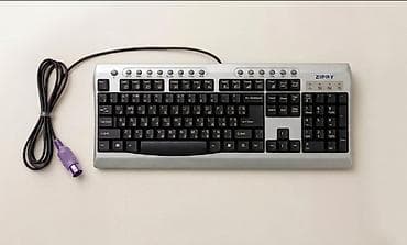 Zippy — fərdi kompüter (PC) üçün tam ölçülü membran klaviaturadır