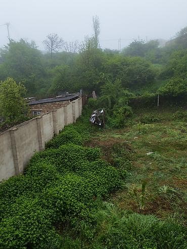 lenkeranda satisda olan evler: 7 otaqlı, 260 kv. m, Kredit yoxdur, Təmirsiz — 9