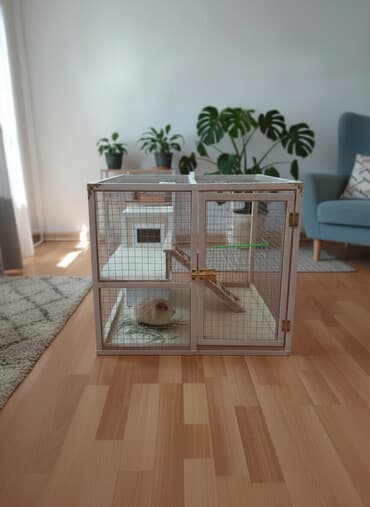 Salam Quş üçün, Cunqarik üçün, Dovşan üçün, Siçan üçün, Xomyak üçün — 2