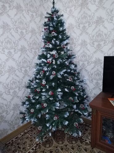 dib: 210 hundurlukde rial alciya cuzu endirim olacaq zontik modeldi — 1