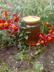 Təbii dağ balı – şüşə qabda - Yüksək dağlıq ərazidə, çoxçeşidli