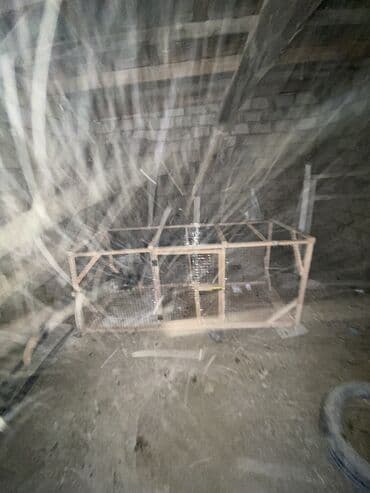 quş yuvalari: 2 nin 80 da — 6