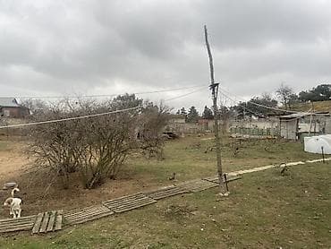 torpag satisi: 46 sot, Biznes üçün, Maklerlər narahat etməsin, Kupça (Çıxarış) — 1