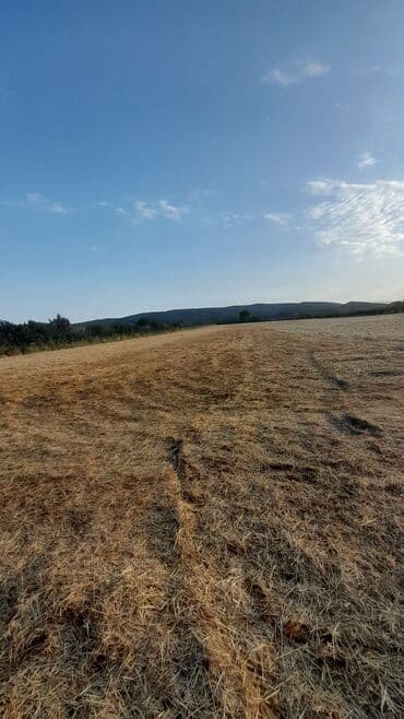 дачные земельные участки: Kənd təsərrüfatı — 1