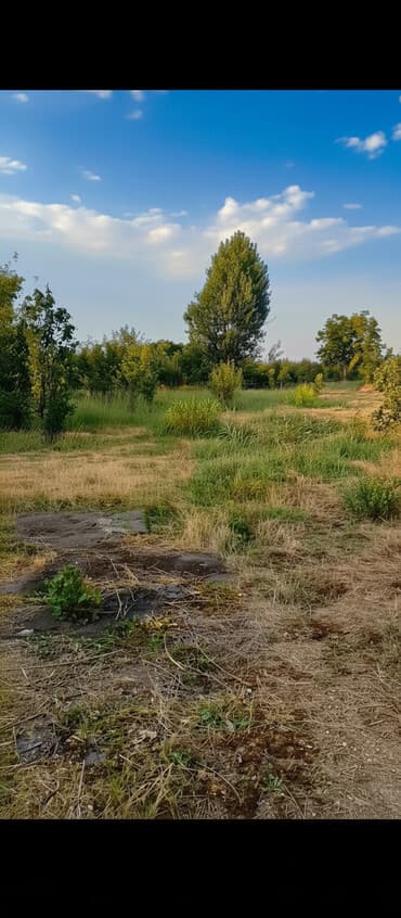 hökməli kirayə evlər: 18 sot, Biznes üçün, Mülkiyyətçi, Kupça (Çıxarış), Texniki pasport — 2