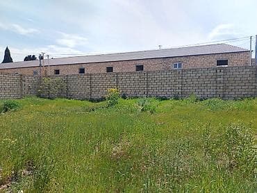 su bacok: Tikinti — 8