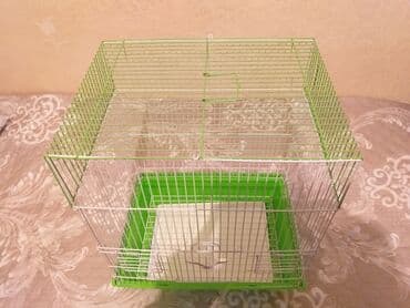 alman afçarkası balası: Qəfəslər yenidi Hündürlüyü 46,5 uzunugu 36,5 eni 28sm qiymət sondur — 9