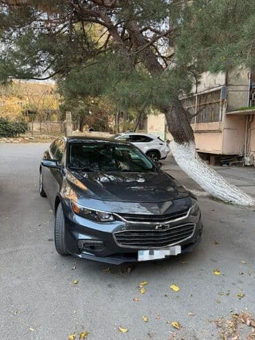 Tofas: Təcili !!! Çox təcili bugünə bu ildə Malibu bu qiymətə hec saytlarda — 1