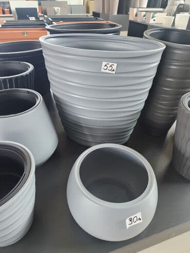 Polşa dibçəkləri