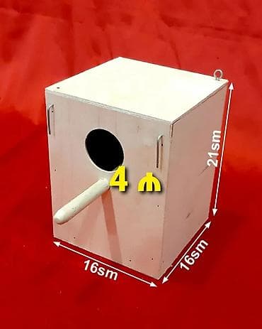 Popuqay yuvasi Popuqay yuvası QIYMETI - 4 manat Topdan satis var at lalafo.az Popuqay yuvasi Popuqay yuvası QIYMETI - 4 manat Topdan satis var