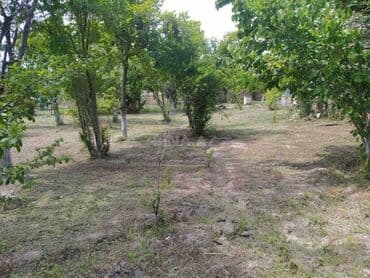 Qarajlar: 3 otaqlı, 70 kv. m, Təmirsiz — 7