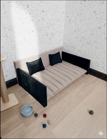 Gəmiricilər: Tezedilər, biri 25man — 3