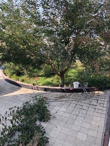 ev certiyojları: 5 otaqlı, 310 kv. m, Orta təmir — 22