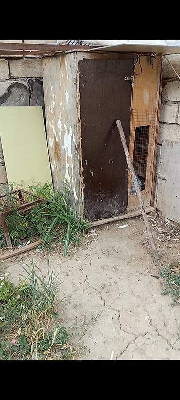 buğa heyvan: Birde problemi qapısın srublamalisiz Taxta göyərçin yuvası/qəfəs — 4