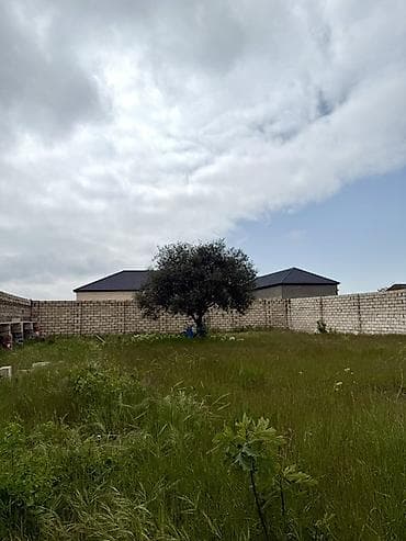 ucarda torpaq satilir: 6 sot, Tikinti, Kupça (Çıxarış) — 8