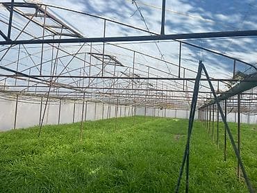 Moyka avadanlığı: Parnik isdixana — 2