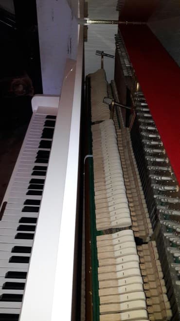 zimmermann: Pianino ZİMMERMANN Almaniya stehsalı. Cadırılma və köklənmə pulsuzdu — 2