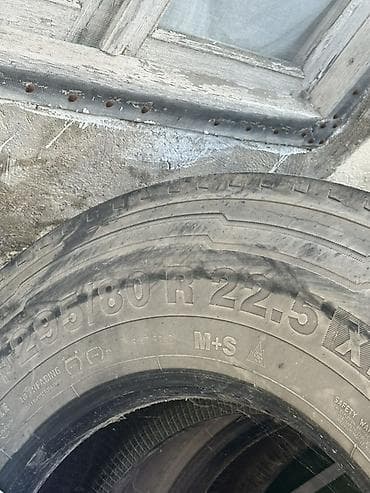 maşın ucun qoltuqaltı: Şin Continental 295 / 80 / R 22,5 — 3