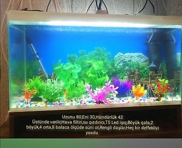 Akvaryum dəsti Ölçülər: - Uzunluq: 80 sm - En: 30 sm - Hündürlük: 42 — 1
