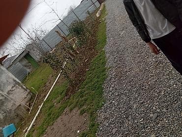 60 mine evler: 6 otaqlı, 680 kv. m, Kredit yoxdur, Orta təmir — 8