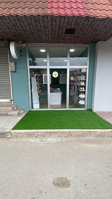 мох: 🍃 Yaşıllıq heç vaxt solmasın! Süni qazonlar – baxım dərdi YOX — 2