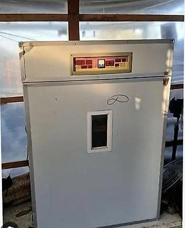 Quş yumurtaları üçün avtomatik inkubator və benzinli generator dəsti