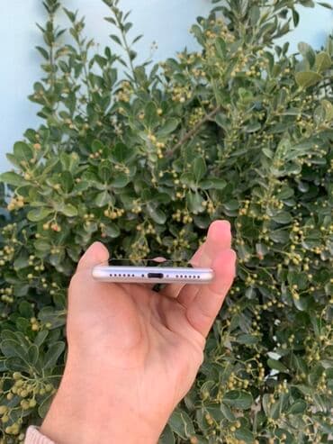 Техника для кухни: IPhone 8, 64 ГБ, Серебристый, Отпечаток пальца — 4