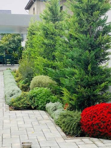 türkanda ev: 125 kv. m, 4 otaqlı, Kanalizasiya, Kombi, İnternet — 3