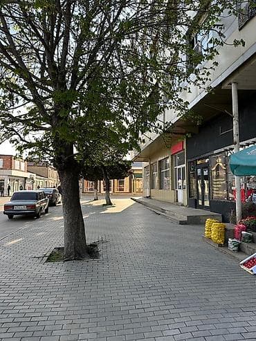 otel kiraye: İcarəyə verilir – vitrinli kommersiya sahəsi - Təyinat: mağaza, ofis — 2