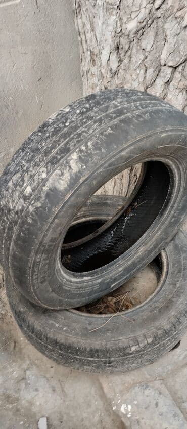 185 70 14: Шина 195 / 65 / R 15 — 4
