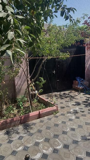 bine sovxoz evler: Həyət evi – yaşıllıqlı həyət və rahat planlanma - Həyət: Dəmir — 1
