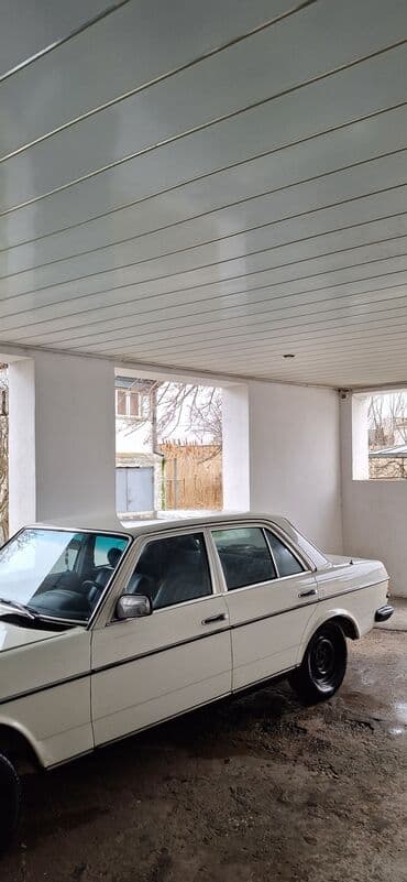 yeşqa mersedes: Mercedes-Benz 250: 2.5 l | 1981 il Sedan — 4