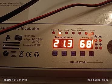 plak satışı: Çin, Tam avtomat — 3