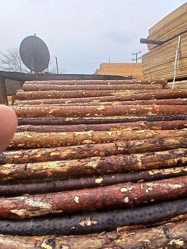 pip agaci: Məhsul: Şam ağacından yumru dirəklər və taxta materialları Təsvir: - — 2