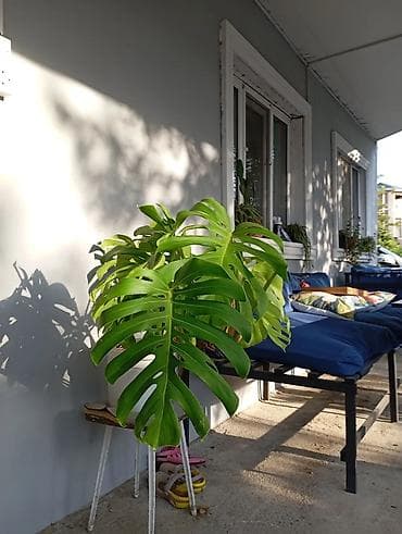 divan mobilya: Mərdəkanda öz bağmi kirayə verirəm. Mebel dəsti – qonaq otağı, mətbəx — 7