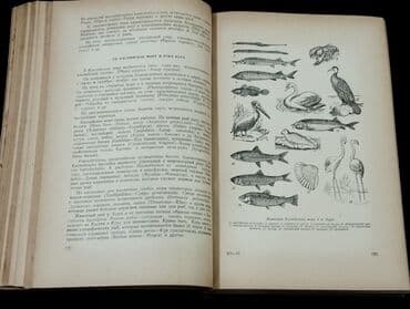 cografiya qayda: *1958* çi il. Azərbaycan SSR Elmlər Akademiyasının Coğrafiya — 3