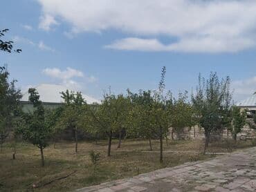 1 otaqlı kirayə: 3 otaqlı, 132 kv. m — 6