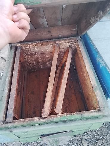 heyvan: Arı pətəkləri və avadanlıqları - Material: taxta korpus, sink/metal — 4