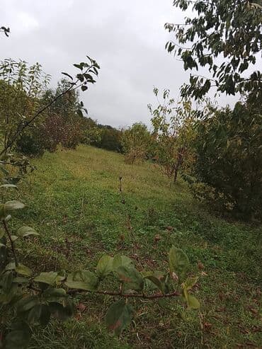 куплю дом в баку: 6 соток — 3