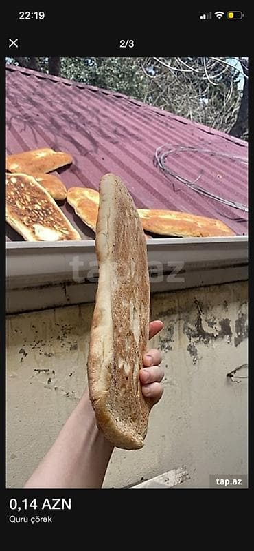 betta balığı qiymeti: Qiymeti: 14 qepikdir. 450 qramdir quruyanda 220-230 qalir.Kiseye 50 — 1