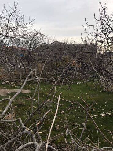 5 sot nece metrdir: 7 sot, Makler, Kupça (Çıxarış) — 6