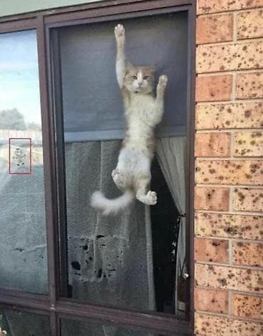 kreditle perde: Yalnız whatsata yazın və ya səs göndərin, telefon zənglərinə cavab — 8