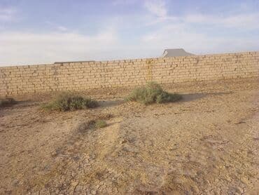 Qarajlar: Tikinti, Mülkiyyətçi — 1